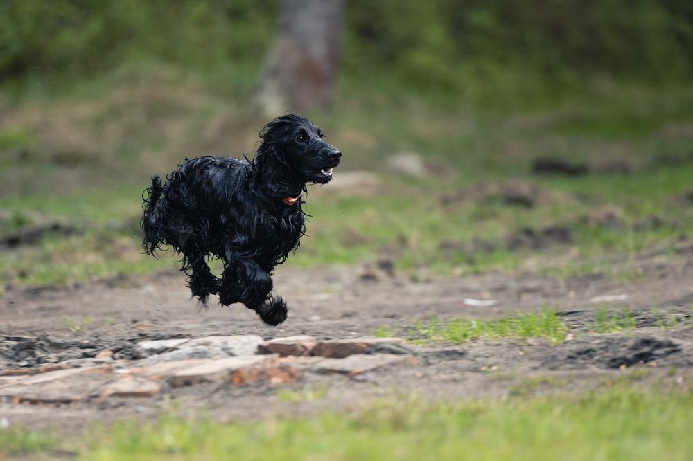 Photograph by Ilya Merkulov