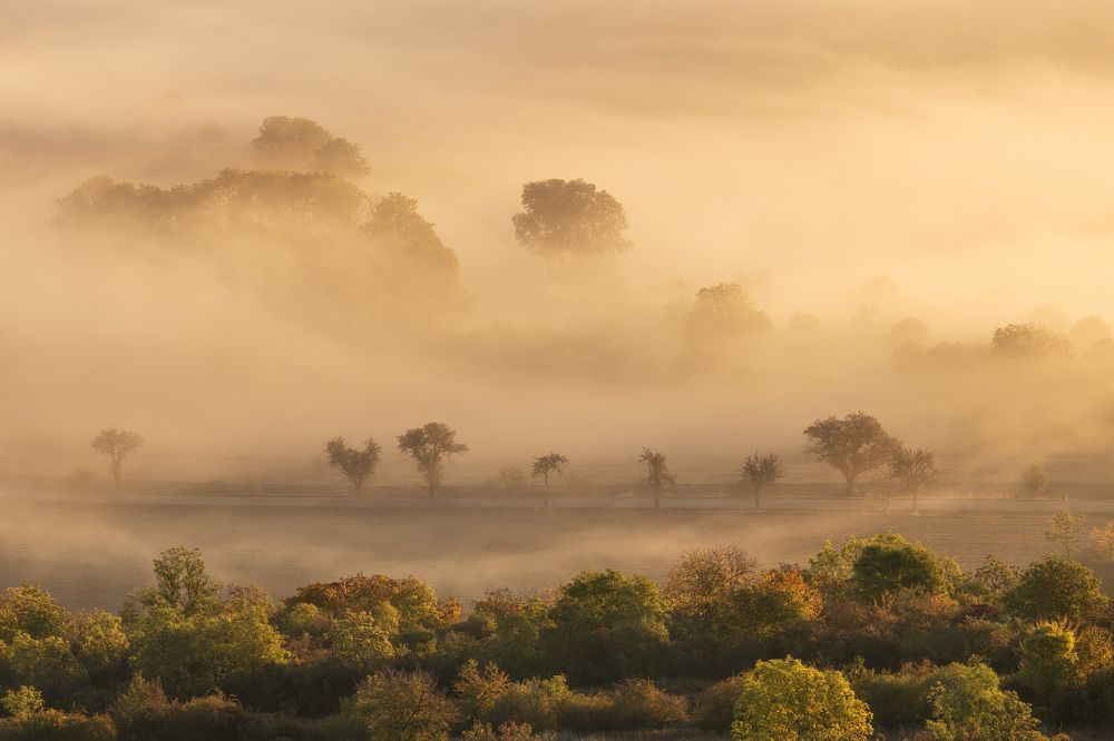 Photograph by Milan Chudoba