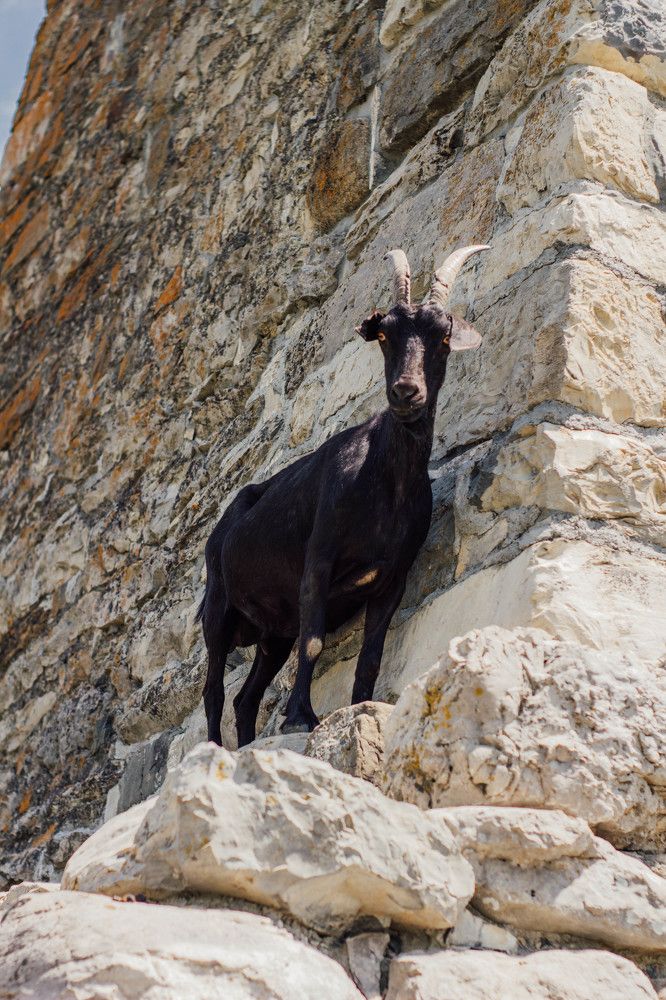 Photograph by Афанасьев Сергей