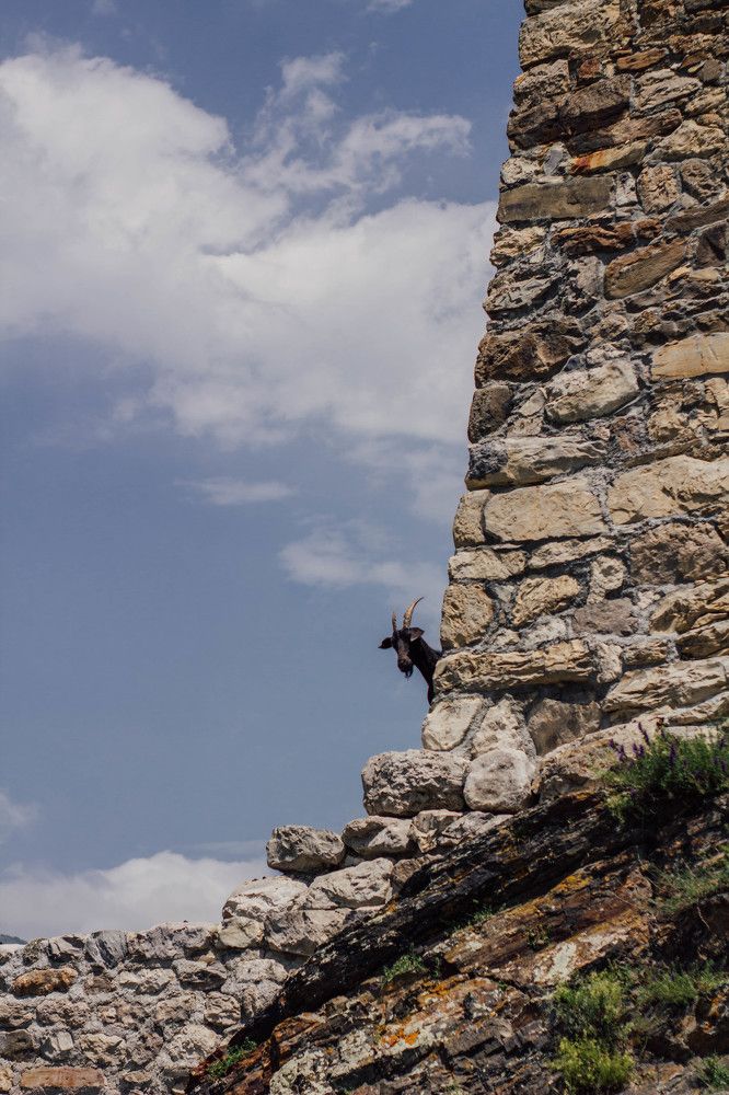 Photograph by Афанасьев Сергей