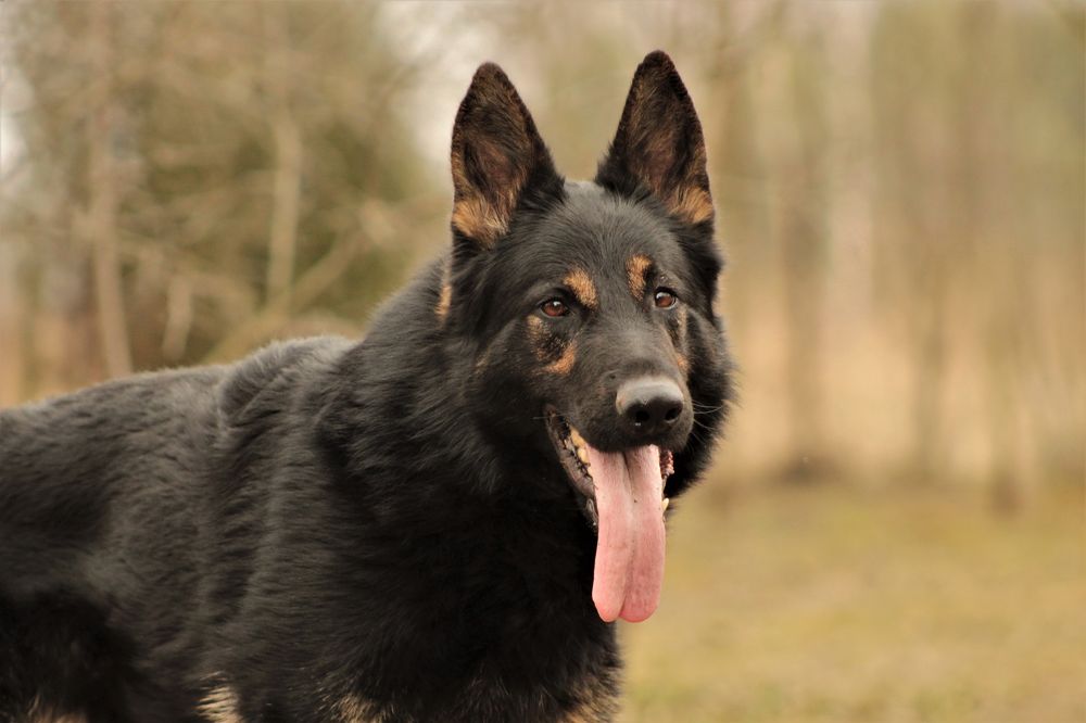 Photograph by Анастасия Рысь