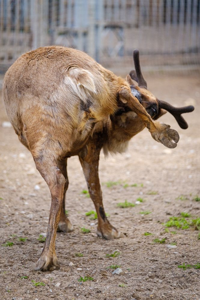 Photograph by Наталия Морозова