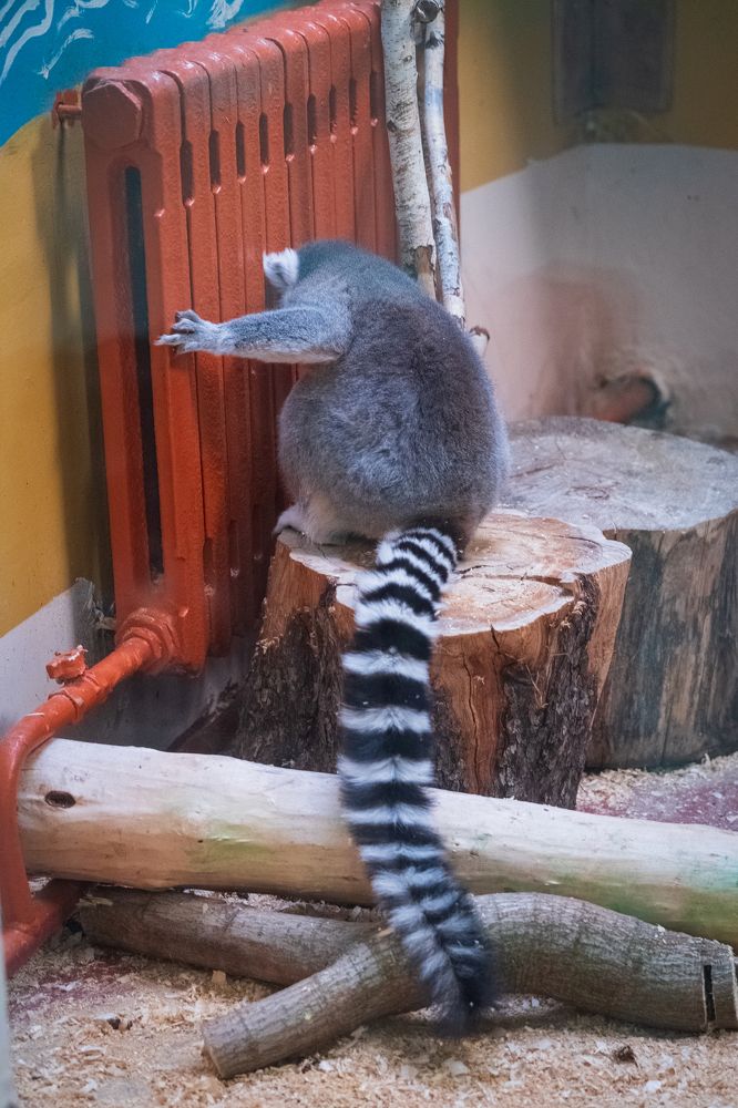 Photograph by Наталия Морозова