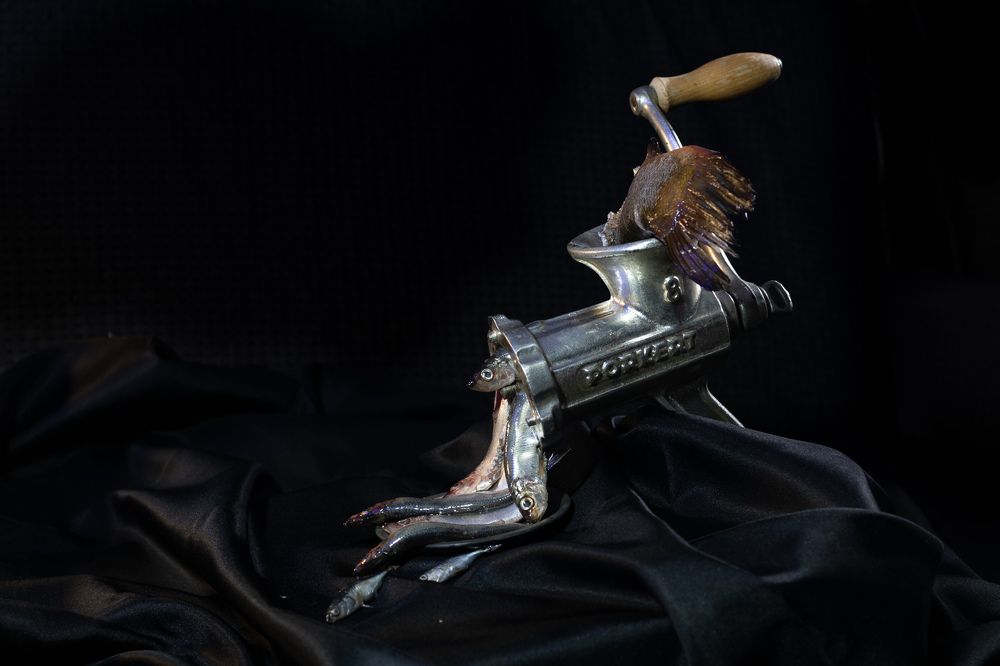 Photograph by Ineta Osipoviča