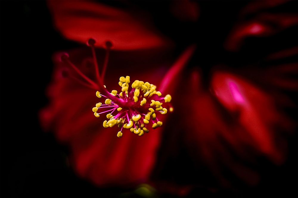 Фотография автора motomoto std