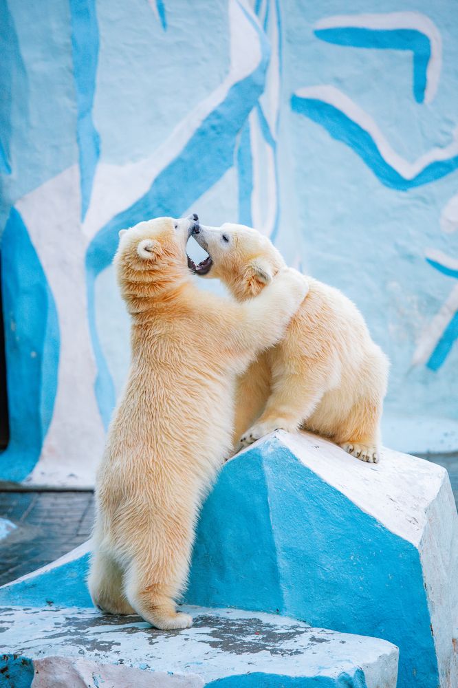 Photograph by Афанасьев Сергей