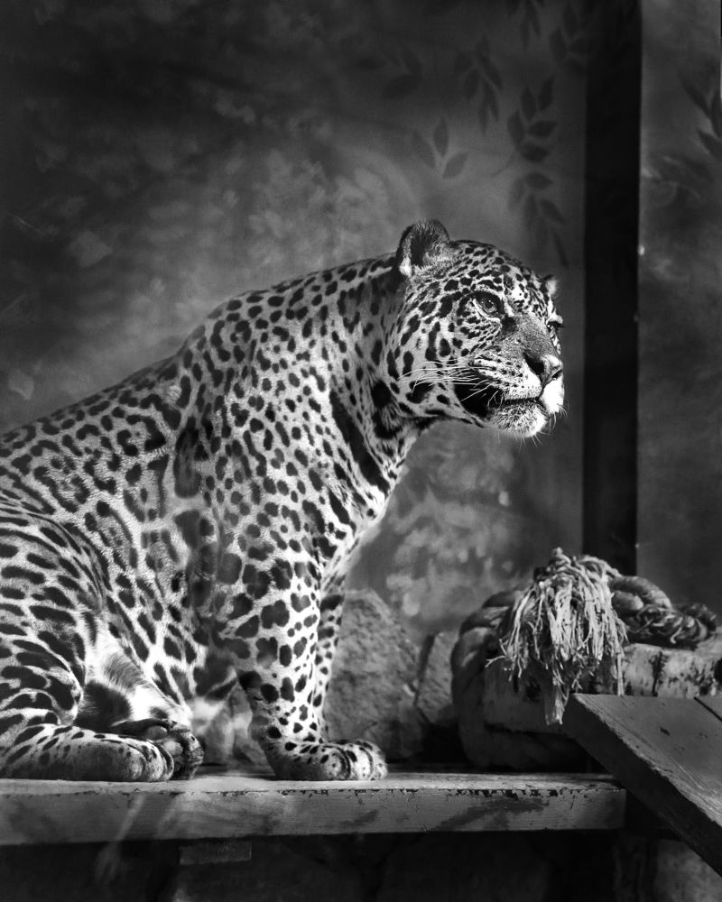 Фотография автора Александр Степочкин