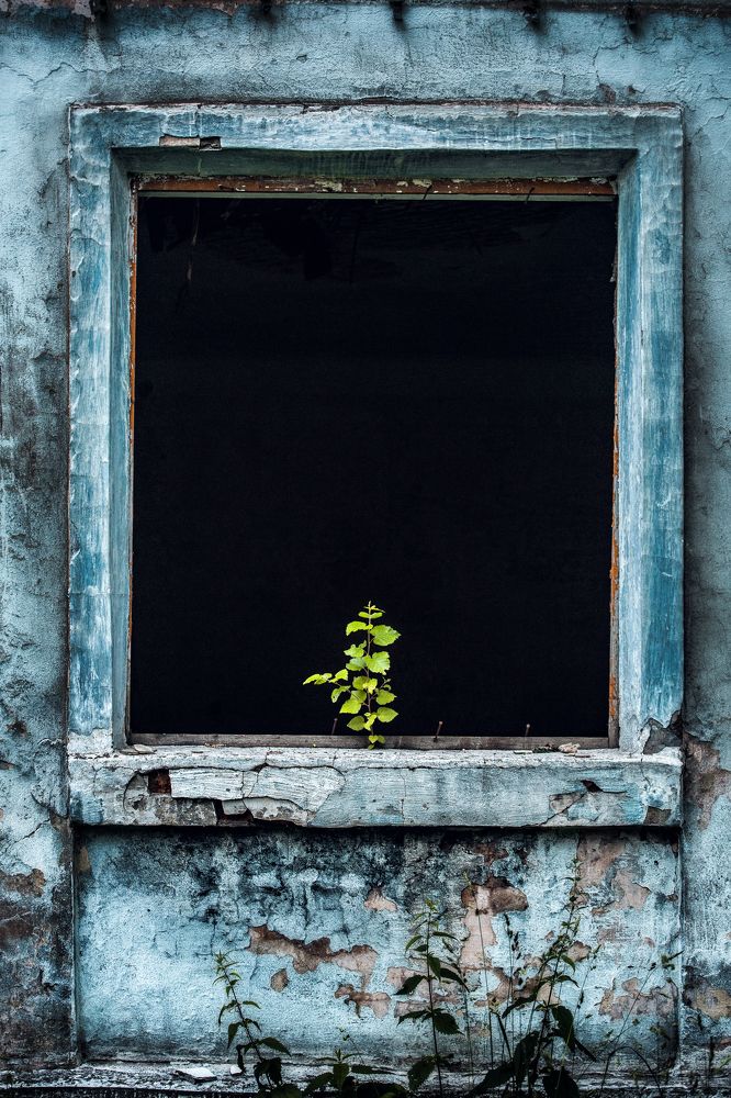 Фотография автора Vyacheslav Lozhkin