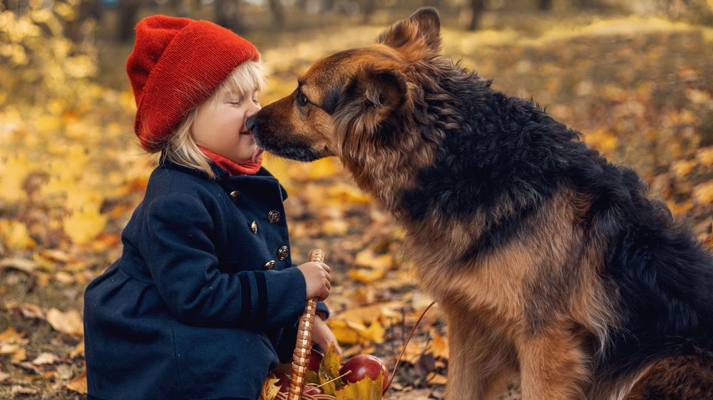 Photograph by Юлия Михайлова