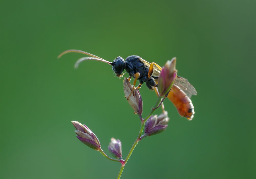 Photograph by Андрей Бурда