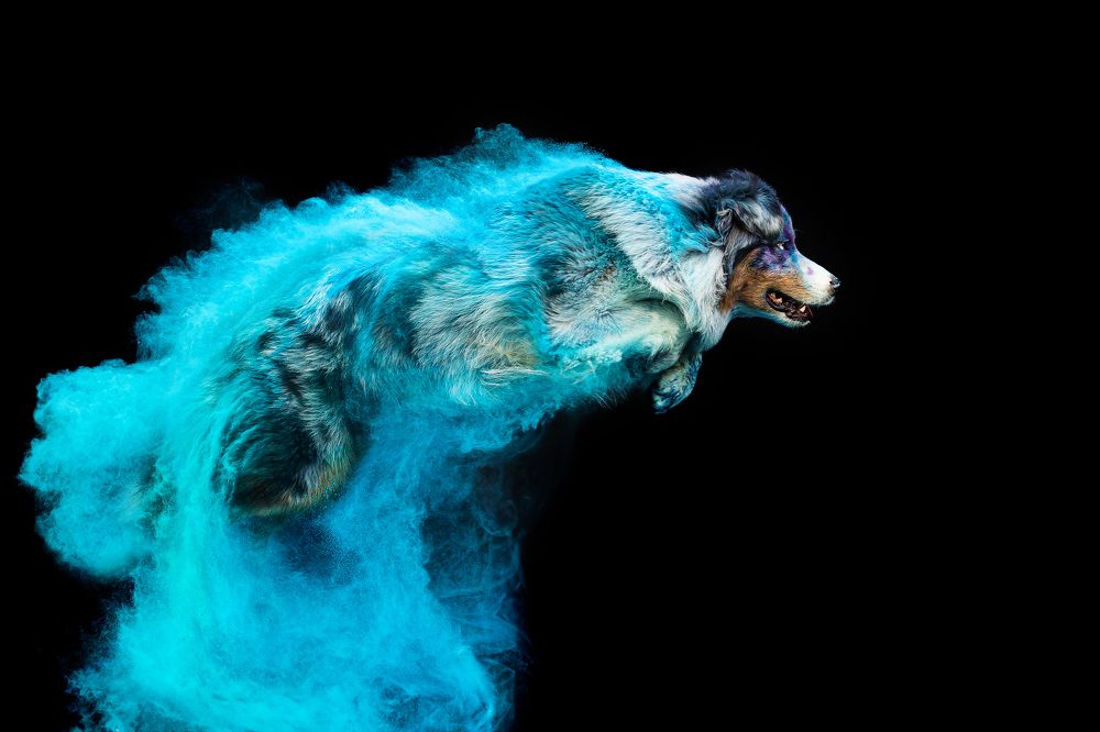 Фотография автора Киреева Екатерина