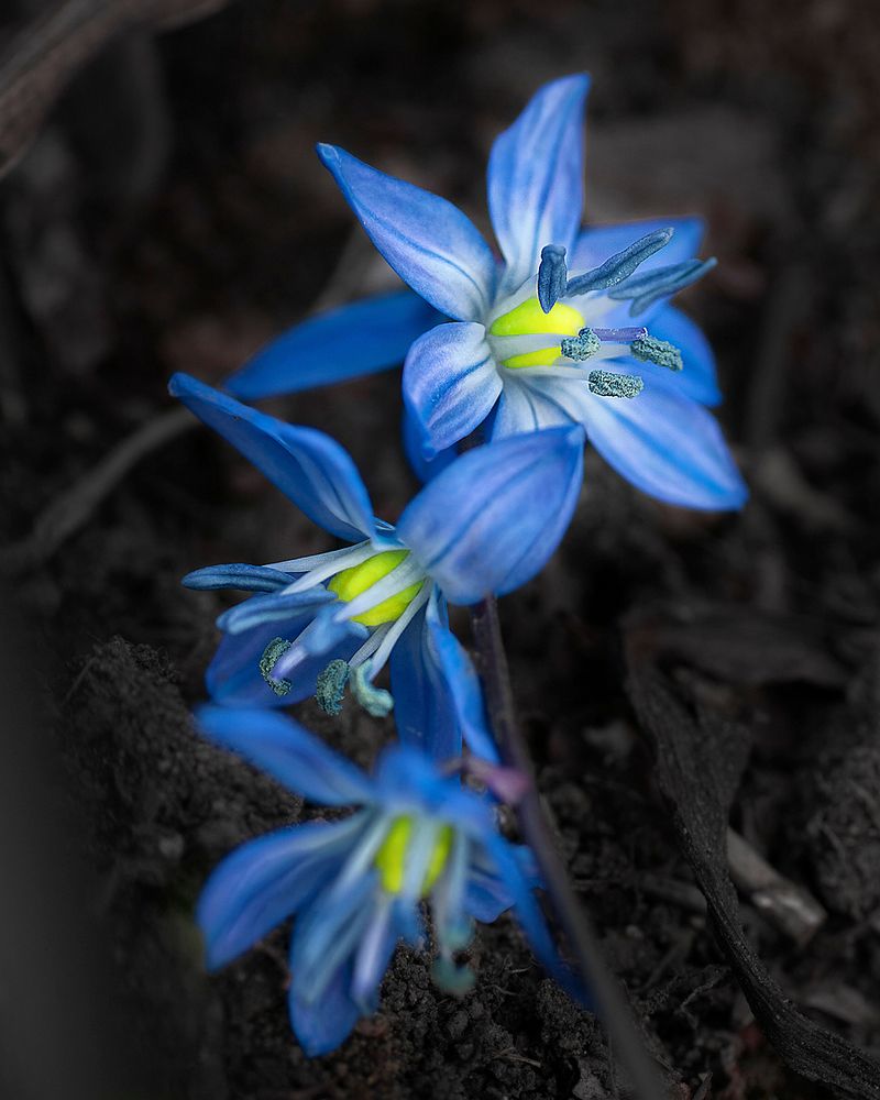 Фотография автора Александр Степочкин