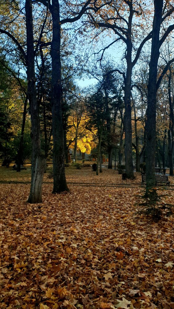 Лед и пламень