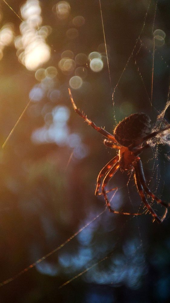 Photograph by Ольга