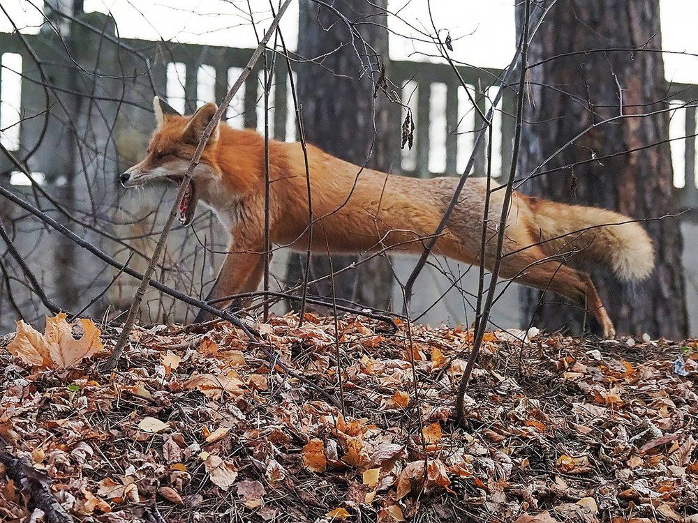 Photograph by Духанин Сергей