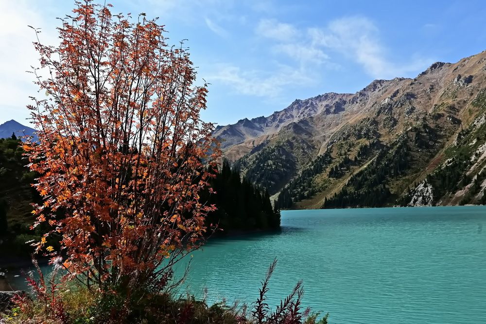 Photograph by Наталья Баранова