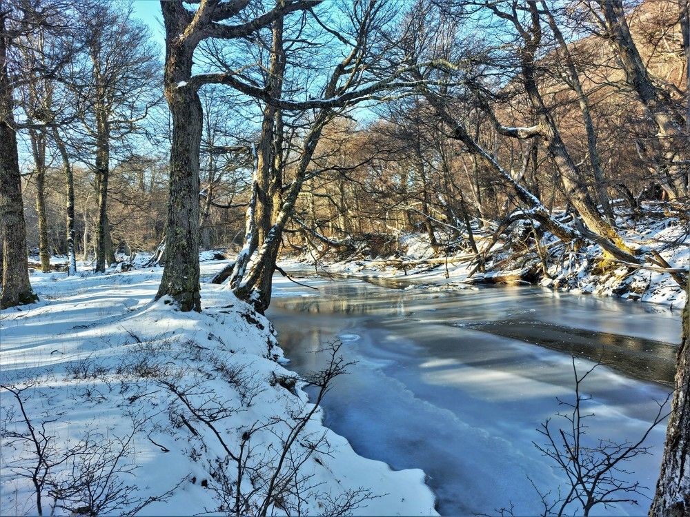 Фотография автора OSMIR ZANETTE