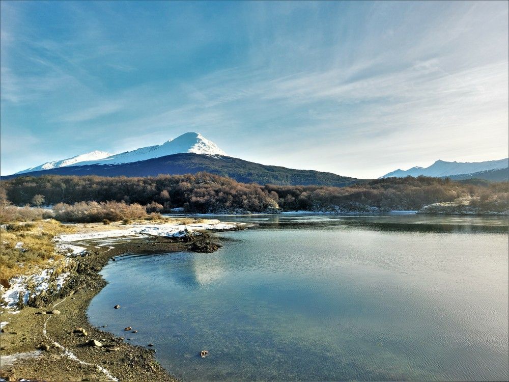 Фотография автора OSMIR ZANETTE