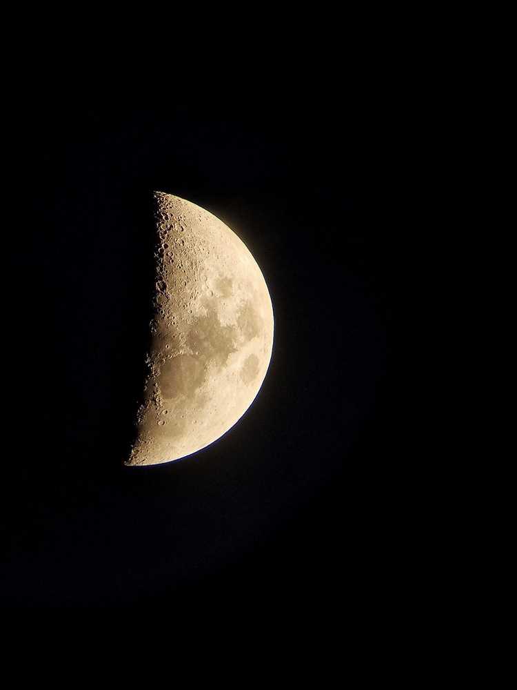 Photograph by Cosmin Coltan