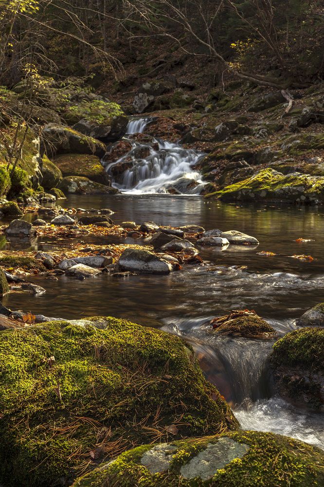 Photograph by ALEKSANDR KUZNETSOV