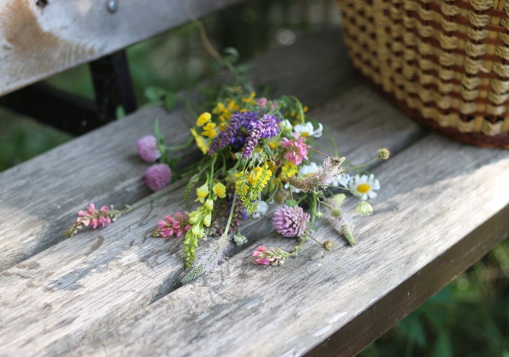 Photograph by АЛЛА ТАРАСЕНКО