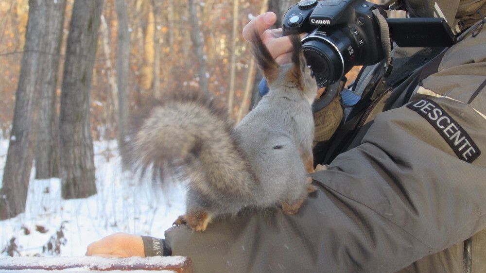 Photograph by Мария Глухова