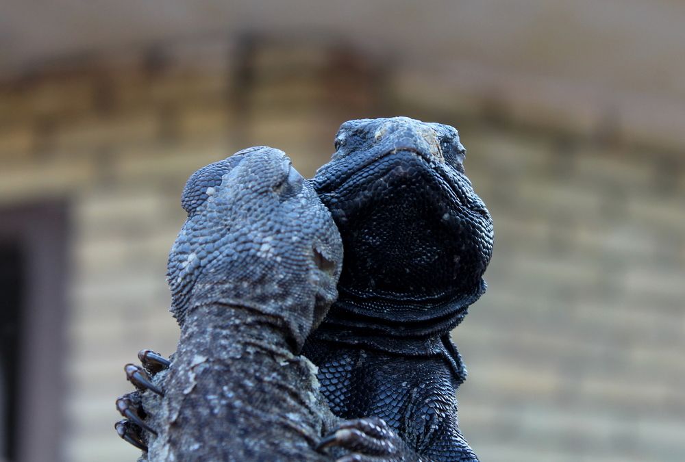 Photograph by Наталья Адалинская