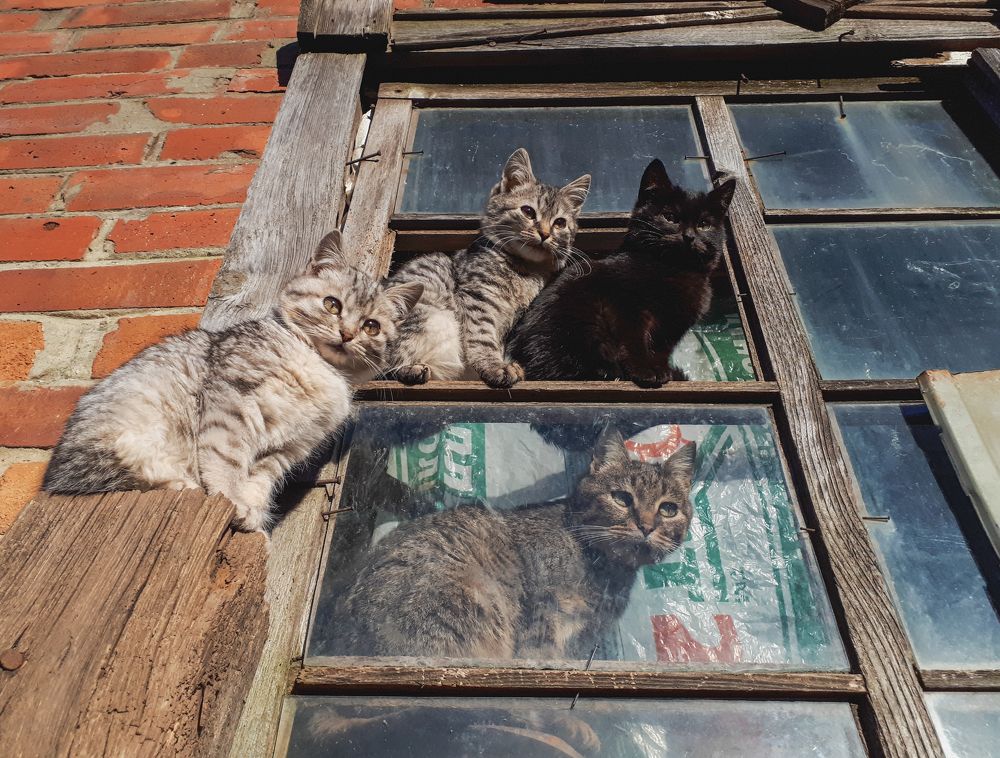 Photograph by Андрей Серый