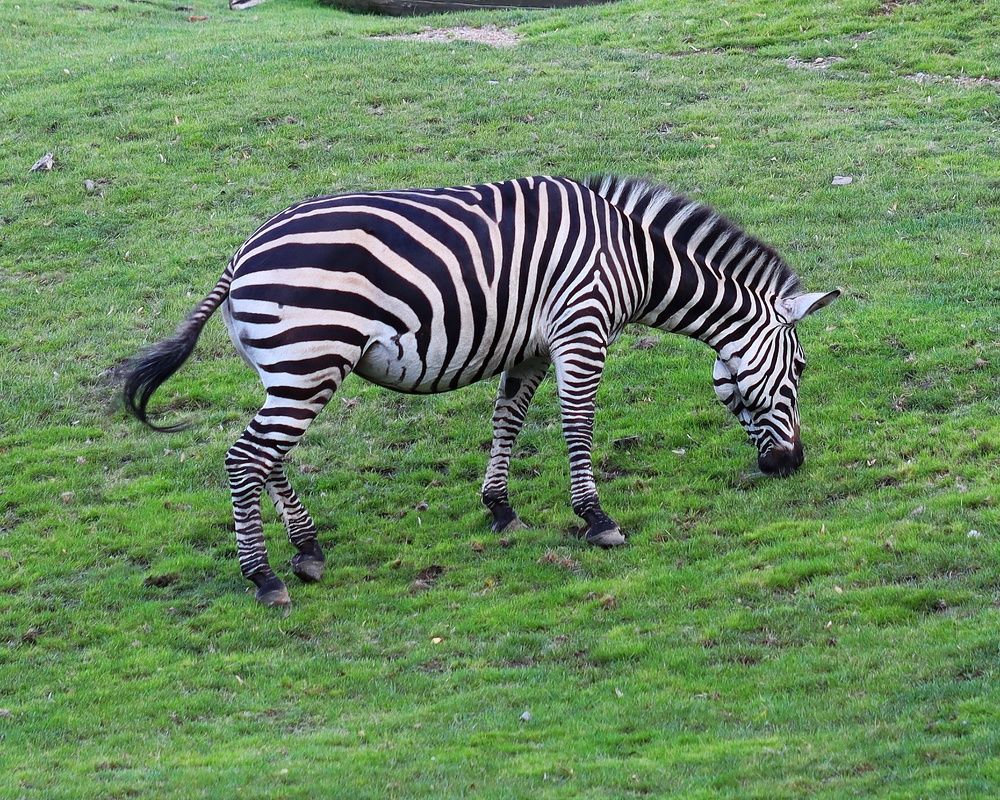 Photograph by Мамикон Мовсесян