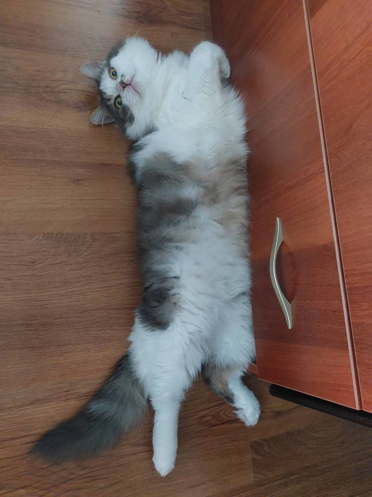 Отдых
