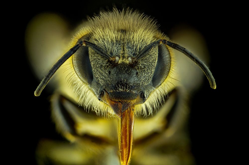 Photograph by Hardy Vargas Vasquez