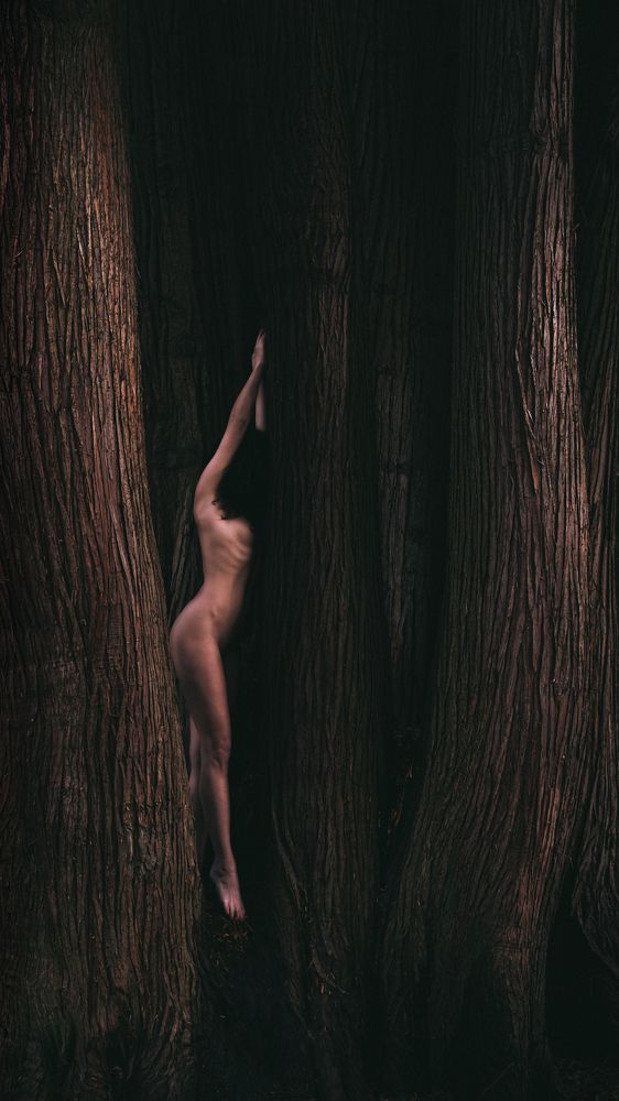 Фотография автора Milica Macanovic