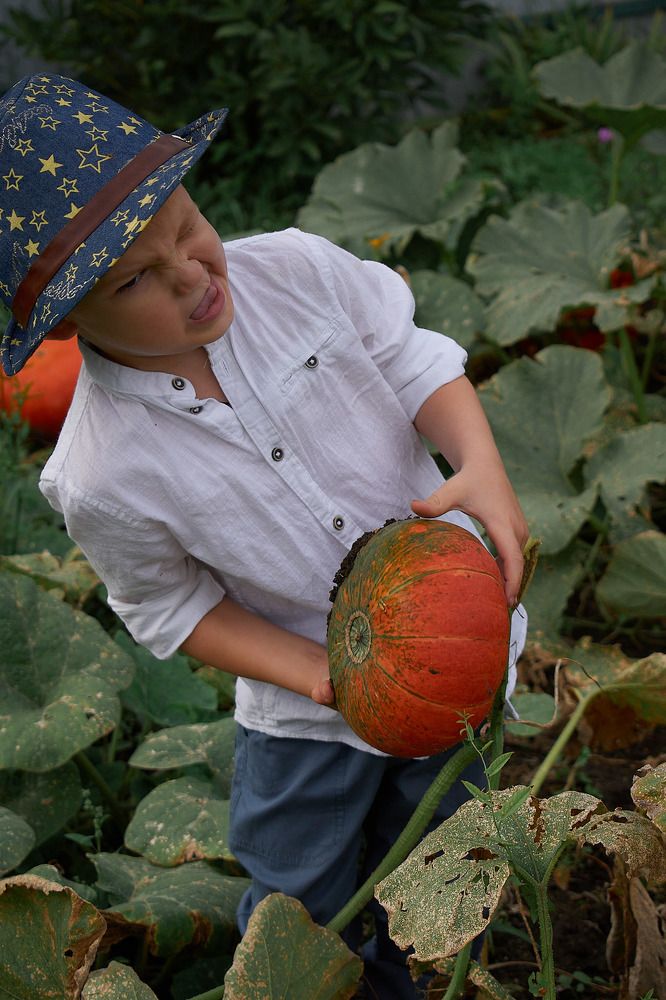 Photograph by Наталья Воробьева