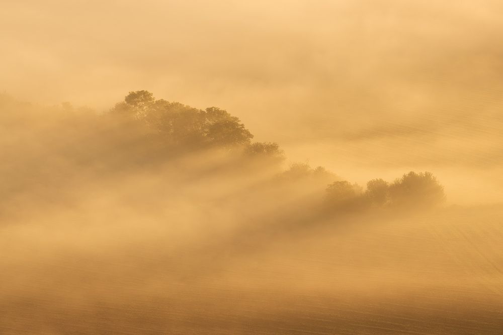 Photograph by Milan Chudoba