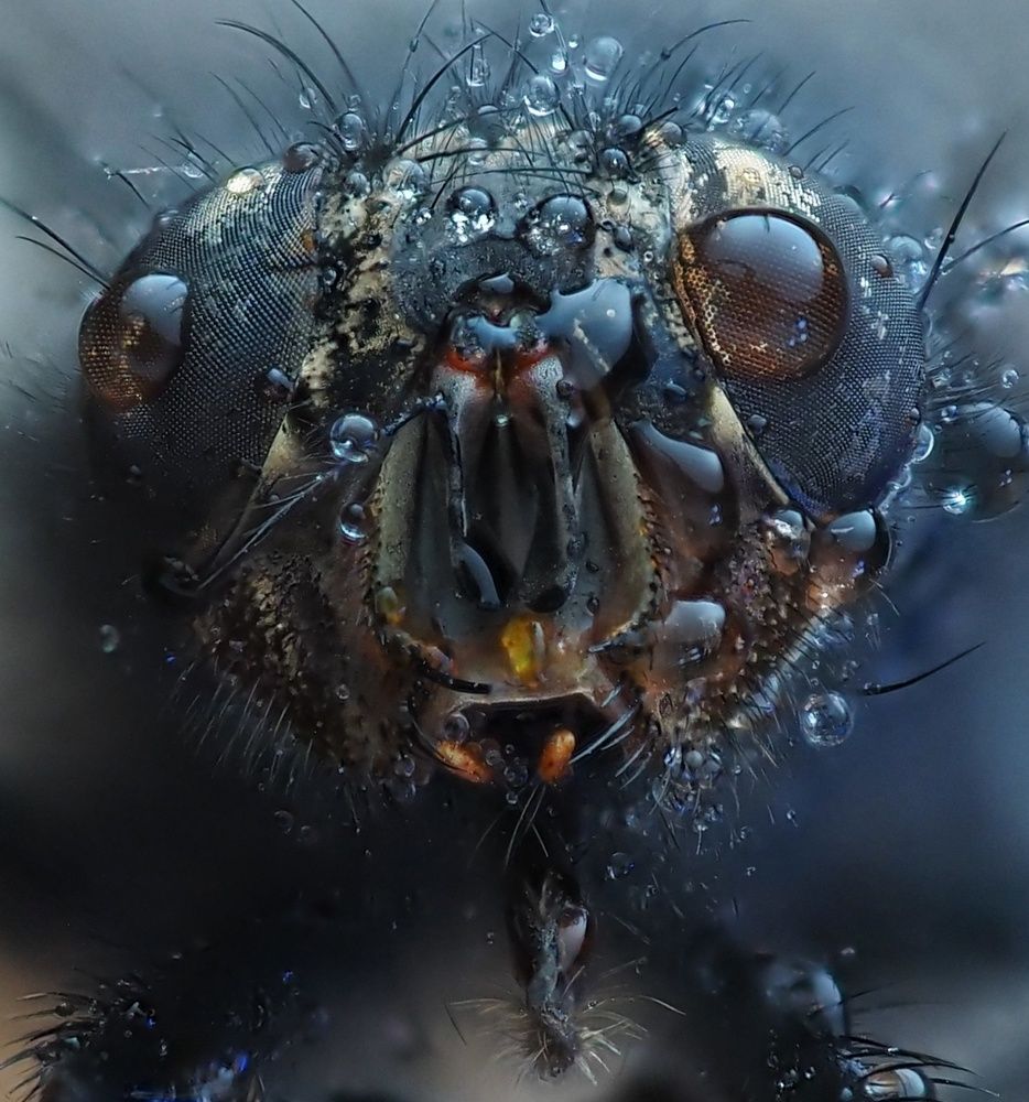 Ночной кошмар