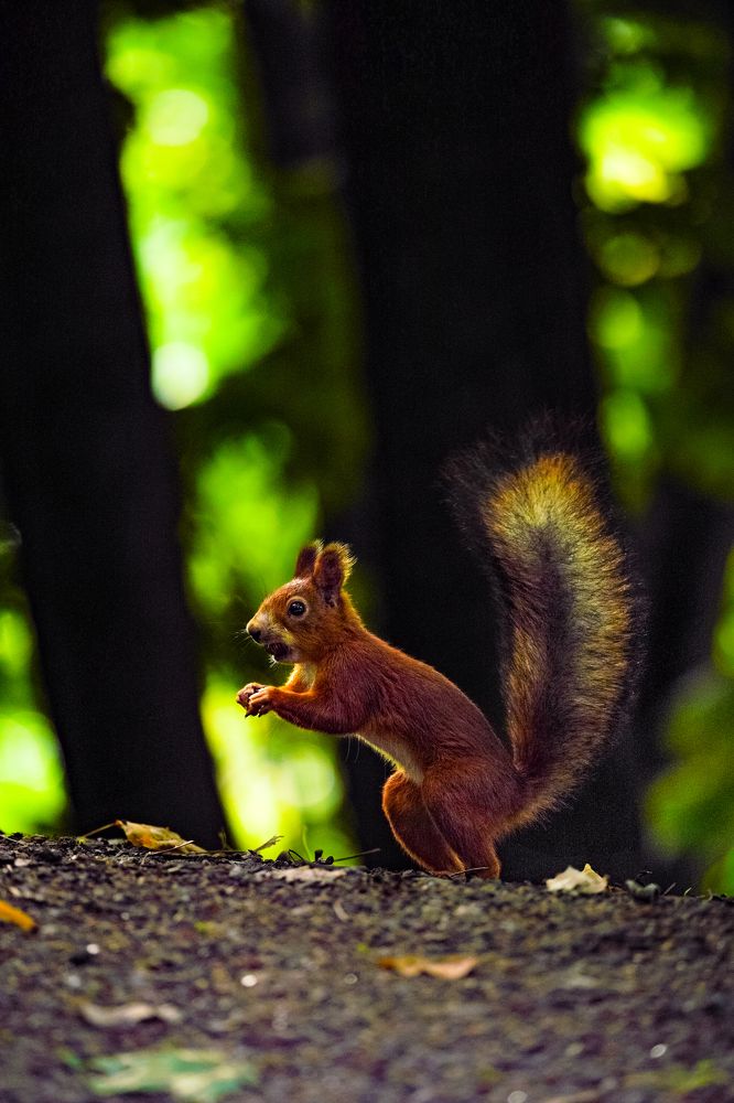 Фотография автора Денис