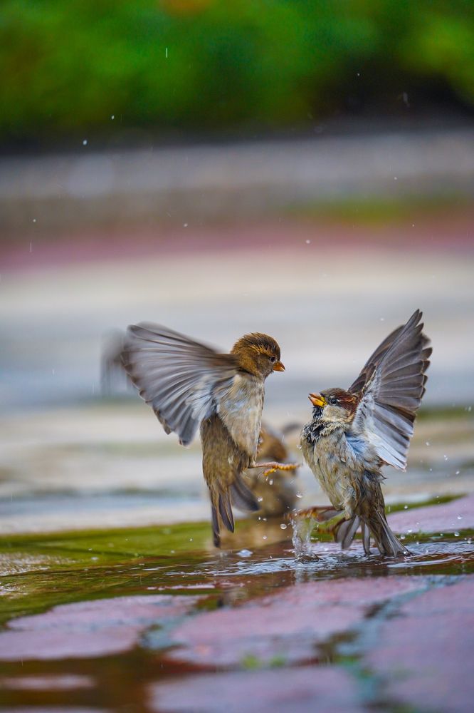 Фотография автора Денис