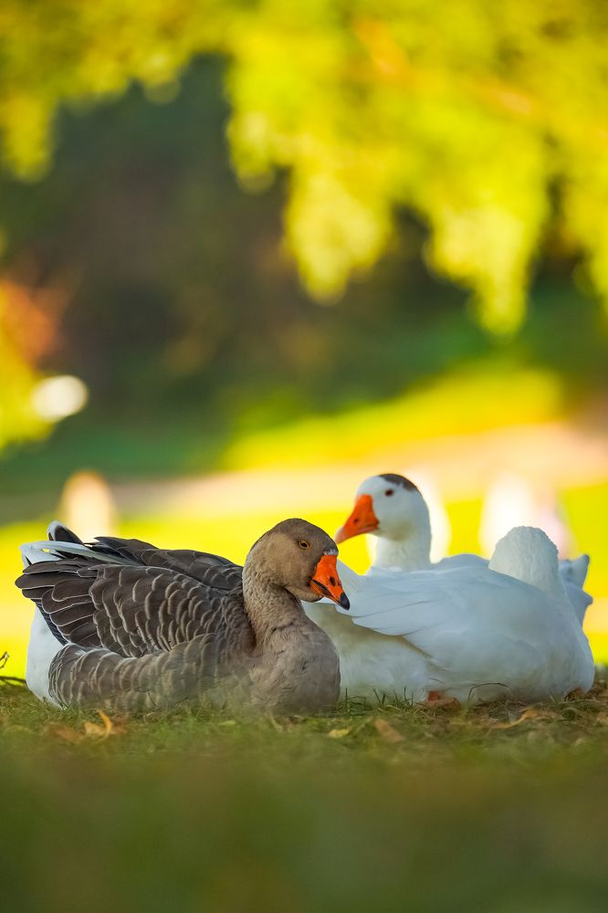 Фотография автора Денис