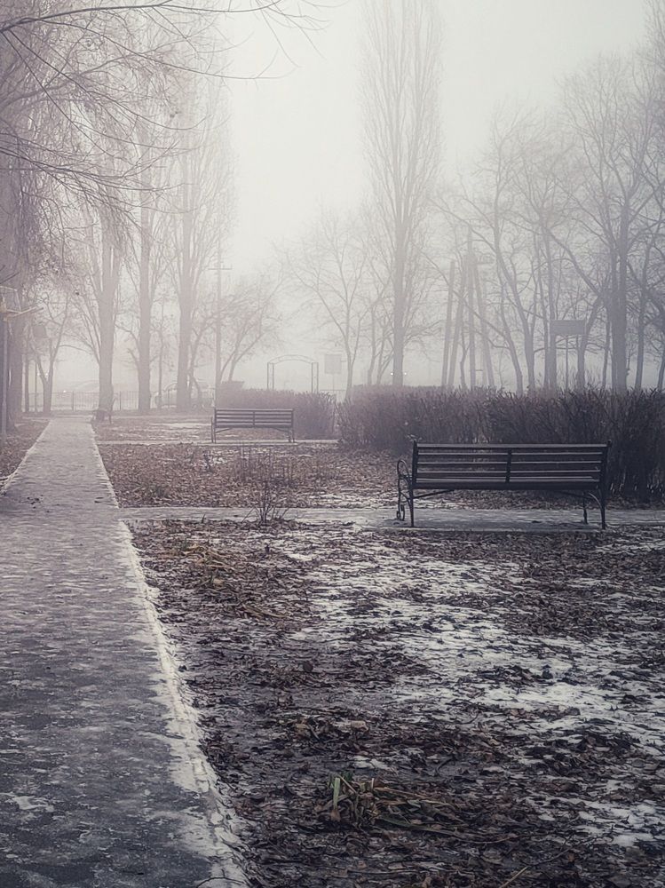 Photograph by Светлана Гаранина