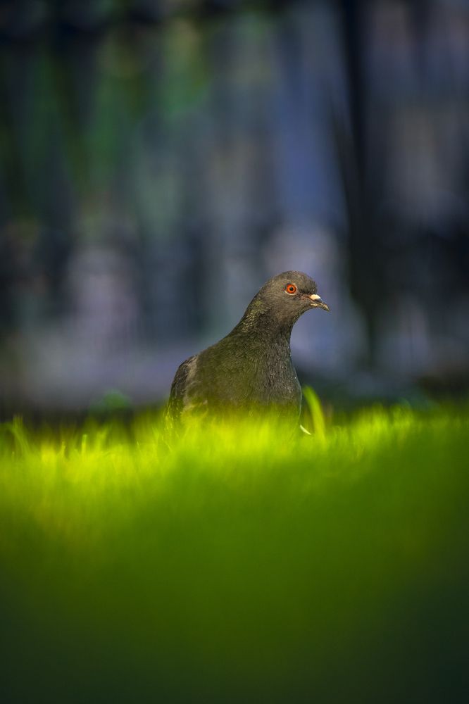 Photograph by Игорь Толкачев