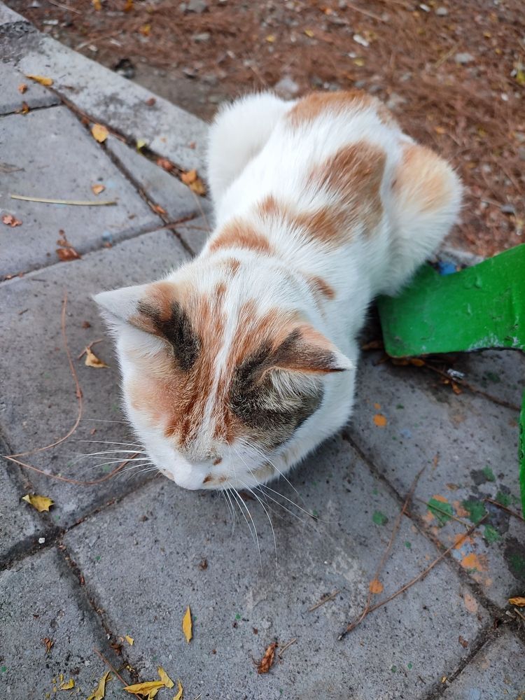 Photograph by mahdi roozbahani