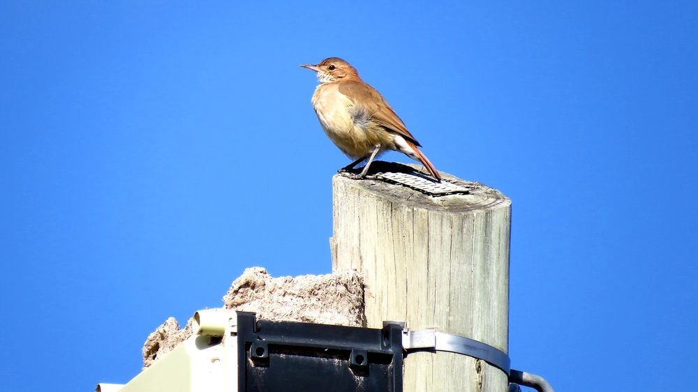 Photograph by Carlos Gutiérrez