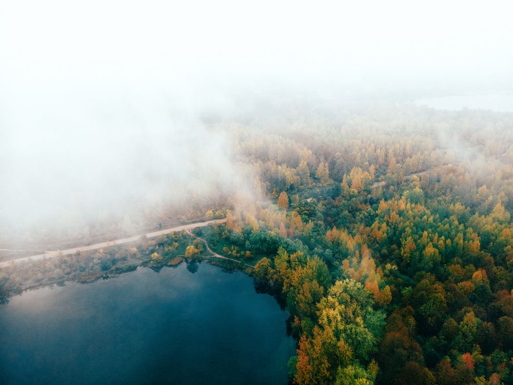 Photograph by Сергей Нестер