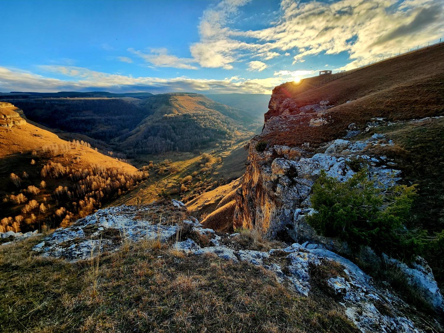 Photo #9749702