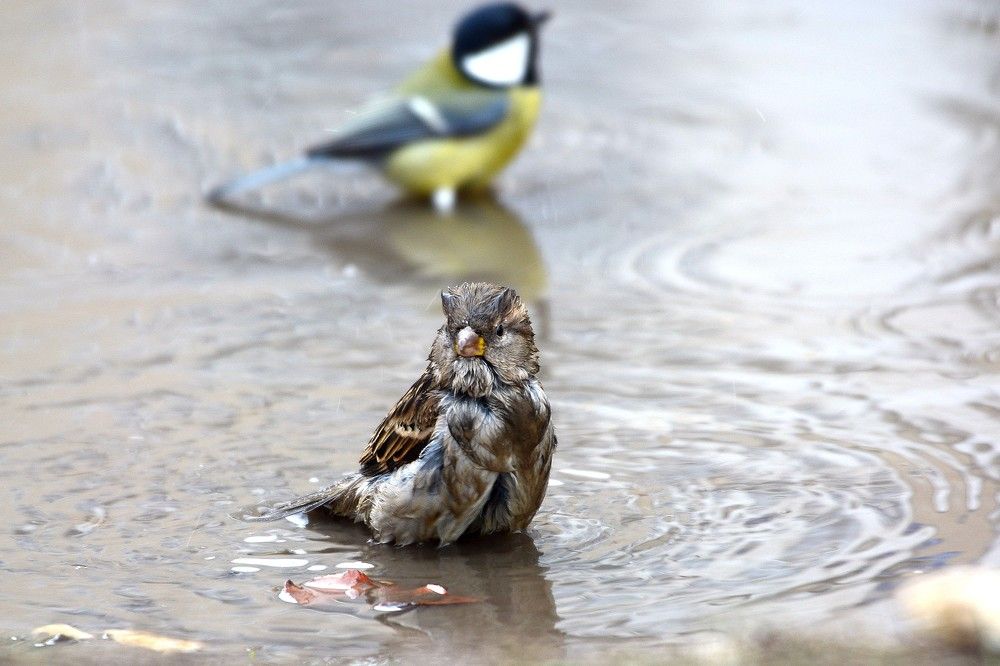 Фотография автора Садыков