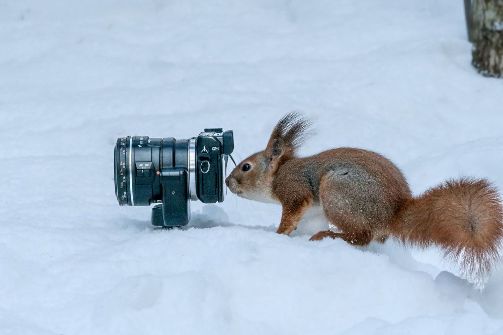 Photograph by Viktor Makarov