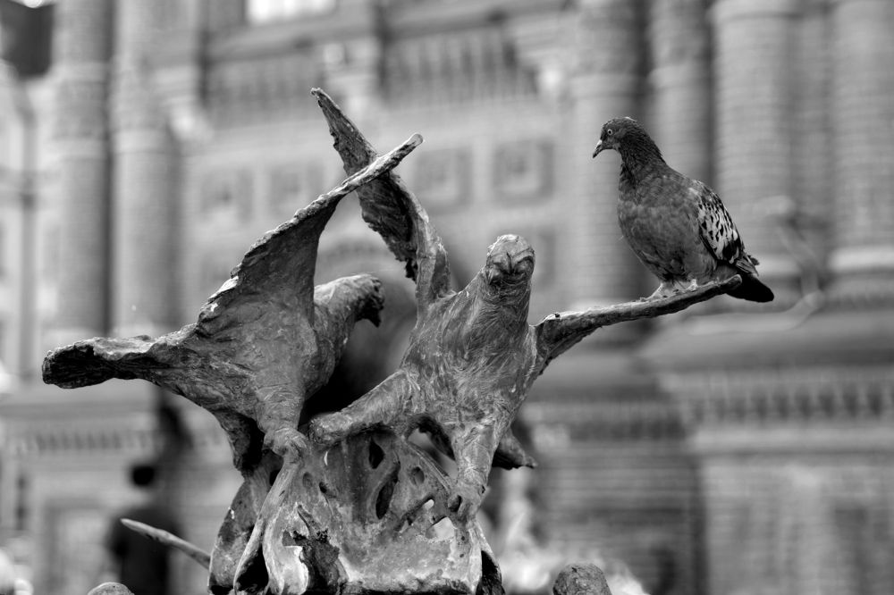 Photograph by Ольга Саламахо