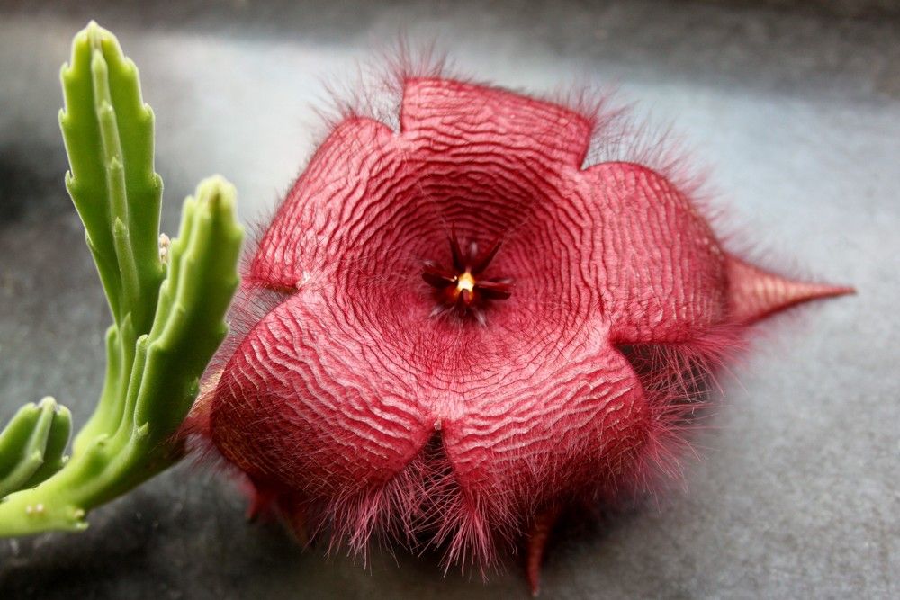 Photograph by Мироненко Лариса