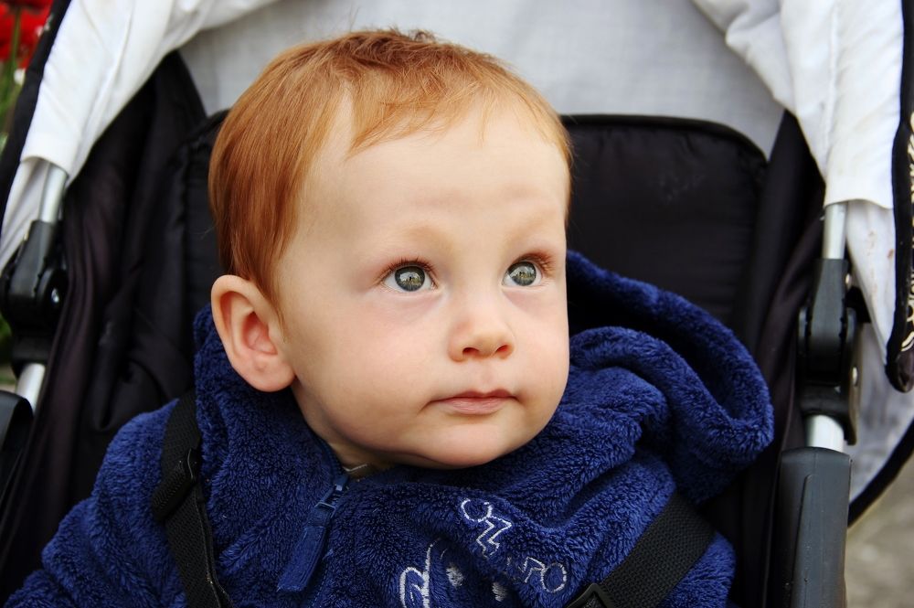 Photograph by Мироненко Лариса