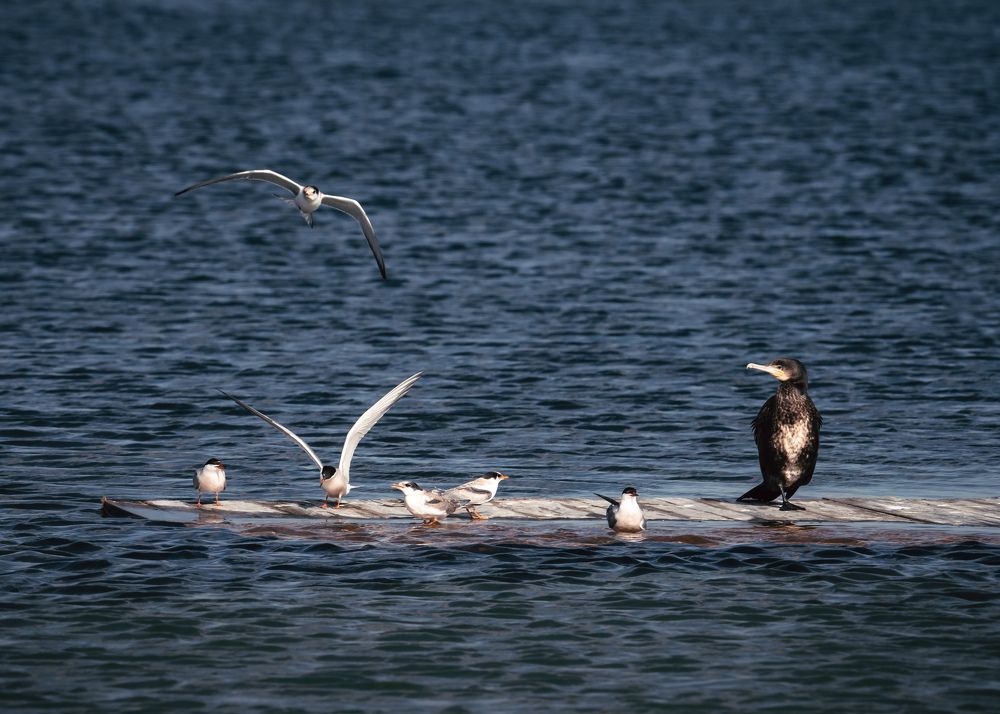 Photograph by Евгений Важенин